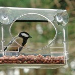 Vogelvoederhuisje voor in het raam